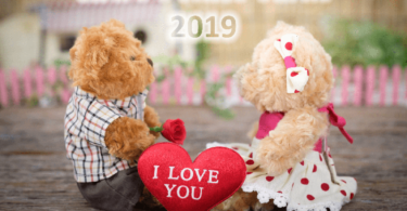 Teddy Bear New Year 2019 I Love You Image