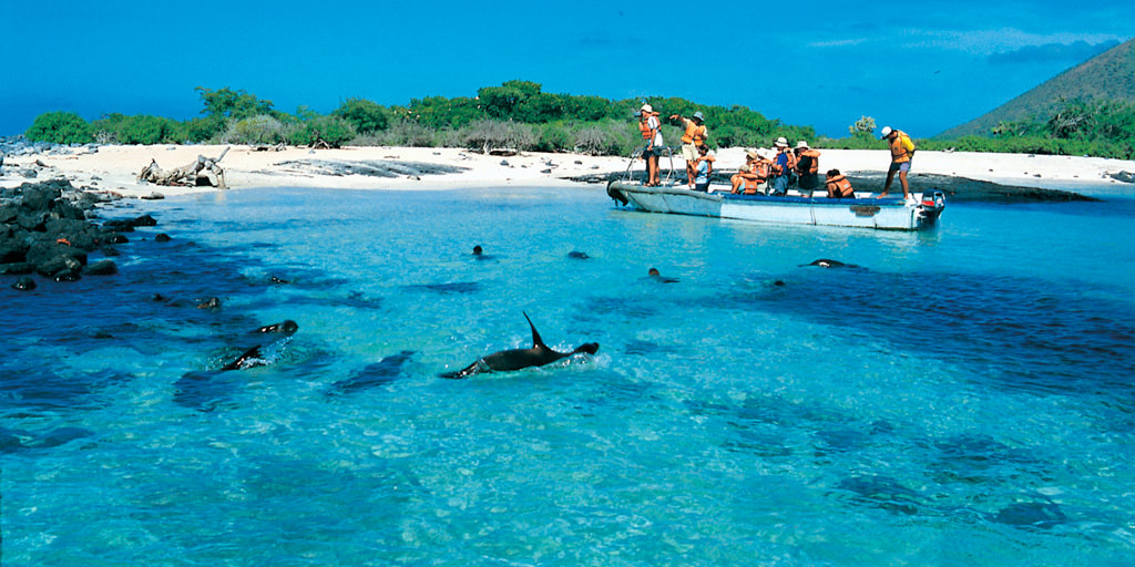 Galapagos Islands Tour